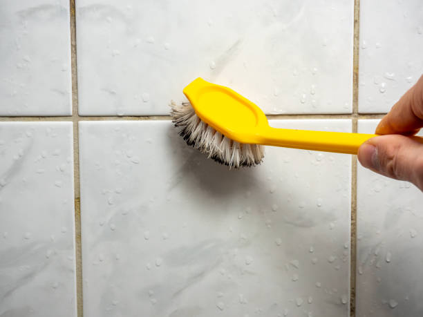 Best Fast Mold Removal  in Mars Hill, NC